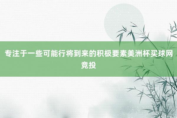 专注于一些可能行将到来的积极要素美洲杯买球网竞投