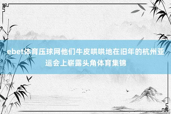 ebet体育压球网他们牛皮哄哄地在旧年的杭州亚运会上崭露头角体育集锦