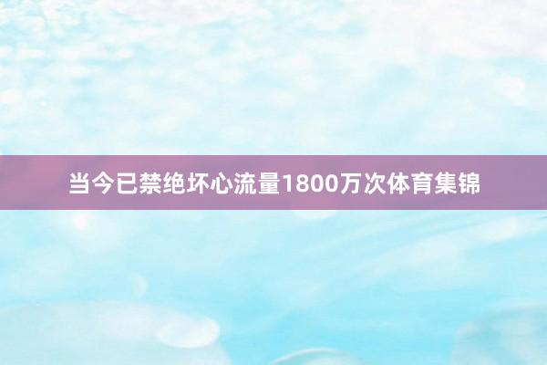 当今已禁绝坏心流量1800万次体育集锦