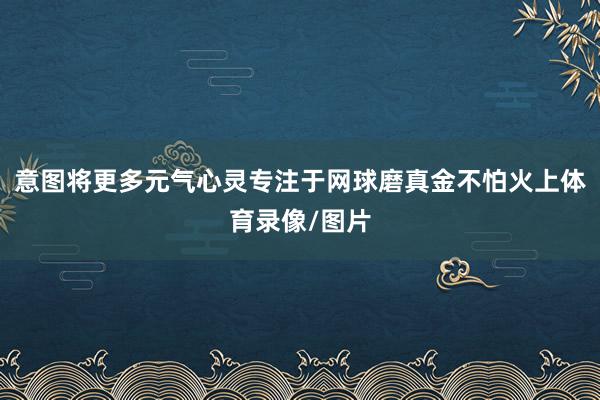 意图将更多元气心灵专注于网球磨真金不怕火上体育录像/图片