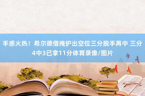 手感火热！希尔德借掩护出空位三分脱手再中 三分4中3已拿11分体育录像/图片