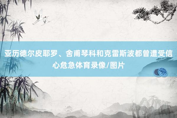 亚历德尔皮耶罗、舍甫琴科和克雷斯波都曾遭受信心危急体育录像/图片