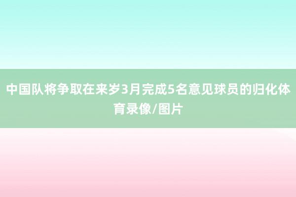 中国队将争取在来岁3月完成5名意见球员的归化体育录像/图片