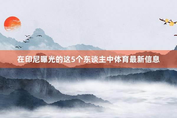 在印尼曝光的这5个东谈主中体育最新信息