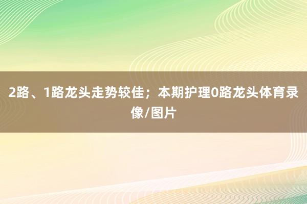 2路、1路龙头走势较佳；本期护理0路龙头体育录像/图片