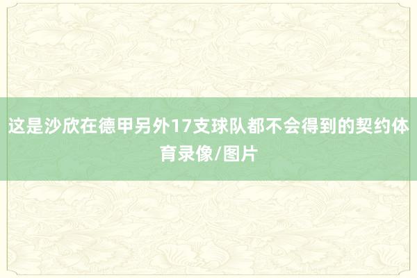 这是沙欣在德甲另外17支球队都不会得到的契约体育录像/图片