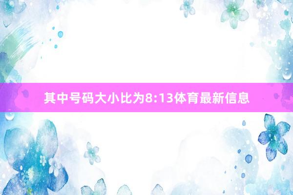 其中号码大小比为8:13体育最新信息